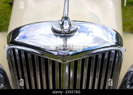 Das verchromte Kühlergrill und das Maskottchen des Kühlerdeckels von Cat mit einem Dreieinhalb-Liter-Klassiker der Jaguar Sportlimousine nach dem Krieg. Stockfoto