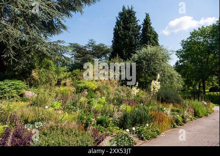 Der Botanische Garten der Universität, der Loki Schmidt Garten in Altona Hamburg, Deutschland Stockfoto