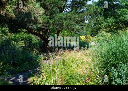 Der Botanische Garten der Universität, der Loki Schmidt Garten in Altona Hamburg, Deutschland Stockfoto