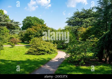 Der Weg trhough des Universitätsbotanischen Gartens, des Loki Schmidt Gartens in Altona Hamburg, Deutschland Stockfoto