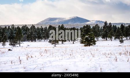 Ein malerischer Blick auf die schneebedeckten San Francisco Mountains vom Buffalo Park in Flagstaff, Arizona. Stockfoto