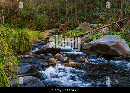 Wasserfall am Oak Creek Canyon in Sedona, Arizona, USA Stockfoto