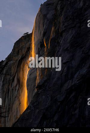 Die untergehende Sonne auf El Capitan erzeugt einen „Feuerfall“ von den Horsetail Falls im Yosemite National Park während eines seltenen Besuchs. Stockfoto