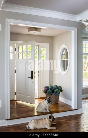 Wunderschöner Eingangsbereich im Inneren des Hauses mit zwei Hunden Stockfoto