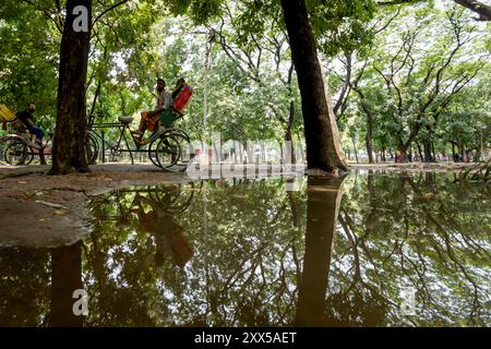 Rikscha auf dem Gelände der Dhaka Universität Stockfoto