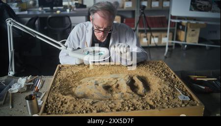 Ein leitender Archäologe reinigt prähistorische menschliche oder tierische Knochen nach der Ausgrabung mit Pinsel in Sand und untersucht alte fossile Überreste im archäologischen Labor. Der Kollege arbeitet im Hintergrund. Stockfoto