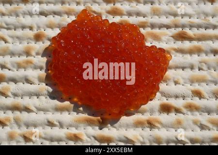 Roter Kaviar auf einem Matzah-Brot, Nahaufnahme des Fotos. Geringe Schärfentiefe Stockfoto