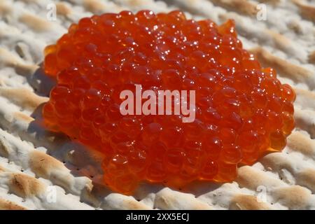 Roter Kaviar auf einem Matzah-Brot, Nahaufnahme des Fotos. Geringe Schärfentiefe Stockfoto