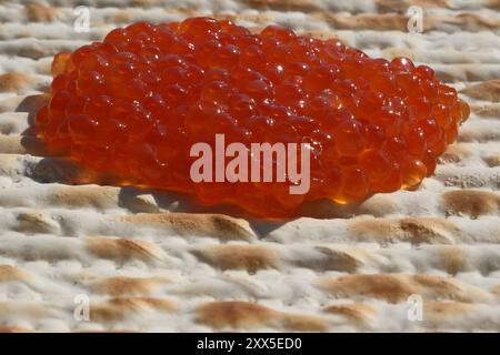 Roter Kaviar auf einem Matzah-Brot, Nahaufnahme des Fotos. Geringe Schärfentiefe Stockfoto