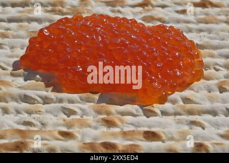 Roter Kaviar auf einem Matzah-Brot, Nahaufnahme des Fotos. Geringe Schärfentiefe Stockfoto