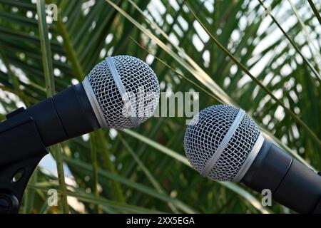 Zwei Mikrofone auf dem Hintergrund von Palmblättern. Nahaufnahme. Stockfoto