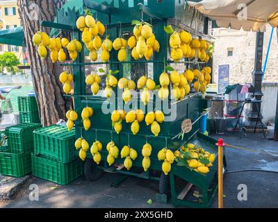 Malerischer Verkaufsstand für Zitronen in Sirmione am Gardasee. Stockfoto