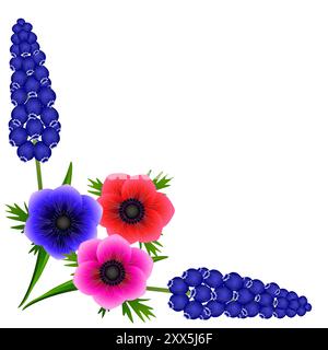 Ecke mit Hyazinthen aus muskarinblauen Trauben und Anemonen, Blumen auf weißem Hintergrund. Stock Vektor