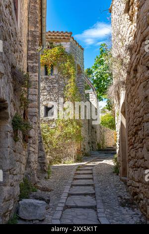 Ein Steinweg zwischen alten Steinhäusern, aufgenommen in Vezenorbes, Provence, Frankreich an einem sonnigen Augusttag Stockfoto