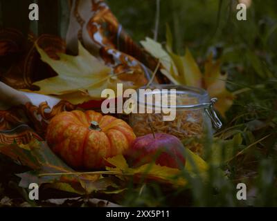 Design Herbst Stillleben im Freien Flatlay. Halloween-Picknickkonzept im Herbst. Kürbis, Apfel, getrocknete Blumen in einem Glas und gefallene gelbe Blätter auf einem Rohling Stockfoto