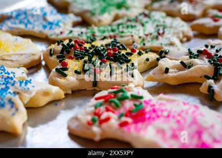 Milchkekse und verzierte Zuckerkekse liegen auf einem Backblech zum Trocknen. Stockfoto