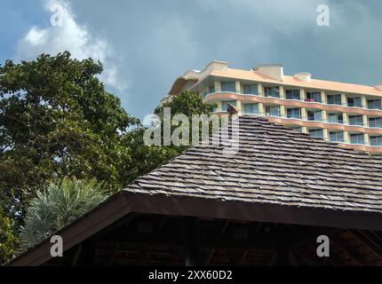 Pattaya, Chonburi, Thailand. August 2024. Ein Falke auf dem Dach während der Taubenkontrolle in einem Hotel. (Credit Image: © Pongmanat Tasiri/SOPA Images via ZUMA Press Wire) NUR REDAKTIONELLE VERWENDUNG! Nicht für kommerzielle ZWECKE! Stockfoto