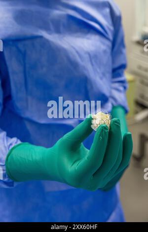 Herzklappenchirurgie Kardiologie für Patienten im Krankenhaus. Transkatheter-Aortenklappenimplantation in der Hand des Arztes vorbereiten. Herzklappe Stockfoto