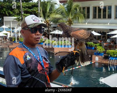 Pattaya, Thailand. August 2024. Ein Mitarbeiter mit Falken war an der Taubenkontrolle in einem Hotel beteiligt. (Foto: Pongmanat Tasiri/SOPA Images/SIPA USA) Credit: SIPA USA/Alamy Live News Stockfoto