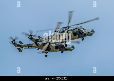 Royal Navy Wildcat Helicopters fliegen am Fairford RIAT 2024 Stockfoto