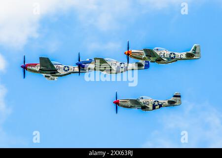 Bildung von vier nordamerikanischen P51D Mustangs, die auf der Sywell Airshow 2024 fliegen Stockfoto