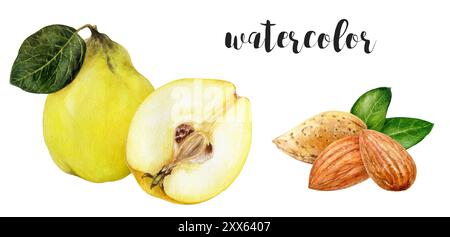 Eine atemberaubende und wunderschöne Aquarellillustration mit Quitten- und Mandelnüssen Stockfoto