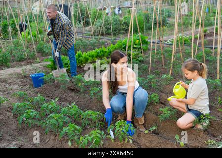 Kind Mädchen hilft ihren Eltern im Gemüsegarten arbeiten Stockfoto