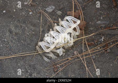Entfernen Sie die Haarklammer in Schmutz Stockfoto