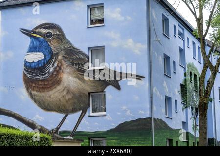 Wohnhäuser an der Feldsieper Straße in Bochum, nach einer energieeffizienten Sanierung, mit Fassadendämmung, die Bochumer Wohnstaetten Wohn Stockfoto