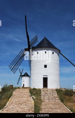 Zwei weiße Windmühlen stehen unter einem klaren blauen Himmel, eingebettet in eine natürliche Sommerlandschaft, Alcazar de San Juan, Ciudad Real, Castilla-La Mancha, Route Stockfoto