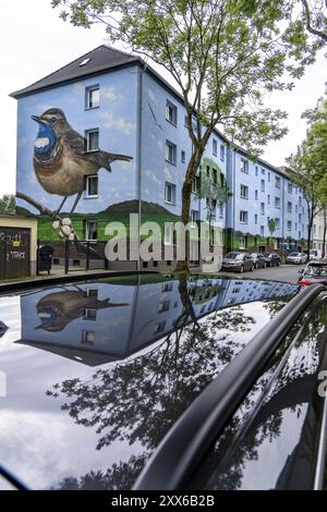 Wohnhäuser an der Feldsieper Straße in Bochum, nach einer energieeffizienten Sanierung, mit Fassadendämmung, die Bochumer Wohnstaetten Wohn Stockfoto