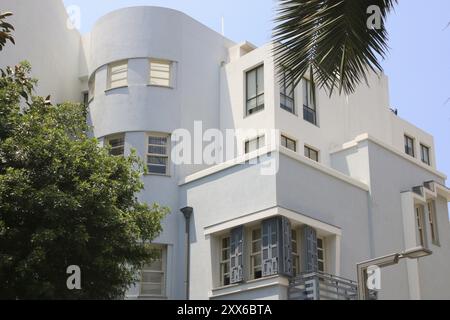 Wohngebäude im Bauhaus-Stil am Rothschild Boulevard, Teil der Weißen Stadt, mit 000 Gebäuden, der weltweit größten Häusersammlung Stockfoto