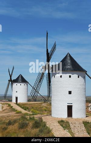 Zwei weiße Windmühlen mit schwarzen Dächern und Pfaden umgeben von trockener Landschaft unter blauem Himmel, Alcazar de San Juan, Ciudad Real, Castilla-La Mancha, Rou Stockfoto