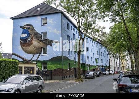 Wohnhäuser an der Feldsieper Straße in Bochum, nach einer energieeffizienten Sanierung, mit Fassadendämmung, die Bochumer Wohnstaetten Wohn Stockfoto