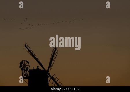 Silhouette der Windmühle bei Sonnenuntergang mit rotem Himmel und einem Knäuel oder einer Schar rosafarbener Gänse (Anser brachyrhynchus), die über dem Meer in Cley, Norf, fliegen Stockfoto