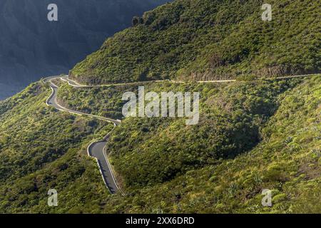 Offene Straße auf Teneriffa. Die offene Straße zum Vulkan Teide auf Teneriffa Stockfoto