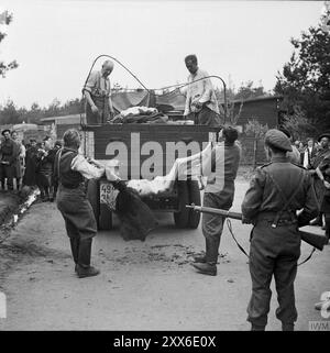 Ehemalige Wachen im Konzentrationslager Bergen-belsen laden Leichen auf einen LKW zur Beerdigung. Das Foto stammt vom 17. April 1945, zwei Tage nach der Befreiung des Lagers. Die Lage des Lagers im Westen Deutschlands bedeutete, dass Tausende von Menschen dorthin geschickt wurden, als der Osten fiel. 18000 Menschen starben allein im März 1945, 10000 starben in den zwei Wochen nach der Befreiung. Es gab dort 13000 unbegrabene Leichen, als die britischen und kanadischen Armeen ankamen. Stockfoto