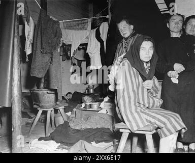 Eine ausgemergelte Überlebende des Konzentrationslagers Bergen-Belsen. Das Foto stammt vom 15. April 1945, dem Tag, an dem das Lager von britischen und kanadischen Truppen befreit wurde. Die Lage des Lagers im Westen Deutschlands bedeutete, dass Tausende von Menschen dorthin geschickt wurden, als der Osten fiel. 18000 Menschen starben allein im März 1945, 10000 starben in den zwei Wochen nach der Befreiung. Sie starben eher an Krankheiten und Vernachlässigung als an systematischen Misshandlungen, wie sie anderswo zu beobachten waren. Stockfoto