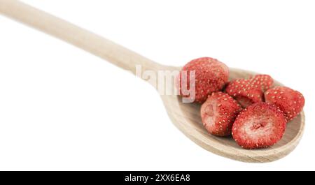 Teil der getrockneten Erdbeeren als detaillierte Nahaufnahme auf weißem Hintergrund Stockfoto