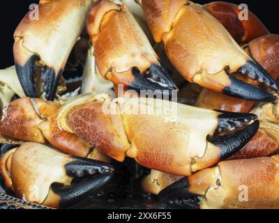 Stapel von Orange gekocht mit schwarzer Spitze, Krabben, in Nahaufnahme Stockfoto