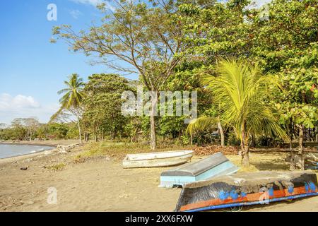 Am Strand von Playa Tarcoles Costa Rica Stockfoto