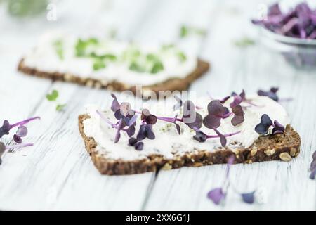 Rahmkäse auf einer Brotscheibe mit frischer Kresse (selektiver Fokus, Nahaufnahme) Stockfoto