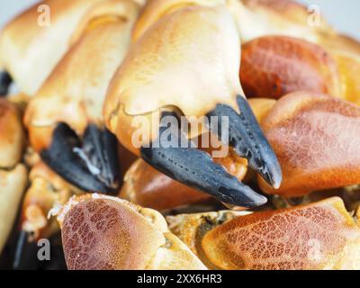 Stapel von Orange gekocht mit schwarzer Spitze, Krabben, in Nahaufnahme Stockfoto