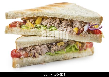 Frischen Thunfisch Sandwich (auf Weiß isoliert) Stockfoto