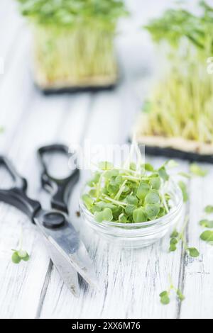 Teil der Fresh Cutted Cress (Nahaufnahme, selektiver Fokus) Stockfoto