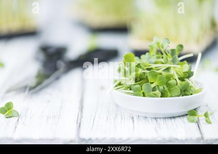 Teil der Fresh Cutted Cress (Nahaufnahme, selektiver Fokus) Stockfoto