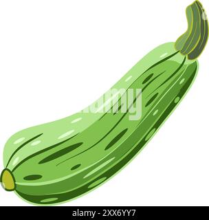 Zucchini isoliert auf weißem Hintergrund. Vektorillustration im Cartoon-Stil Stock Vektor