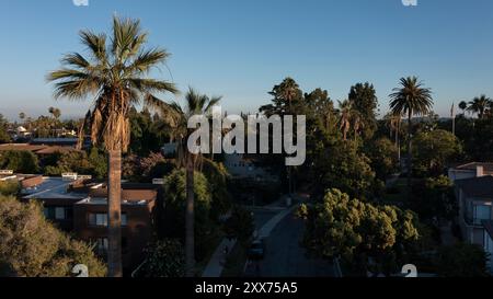 Palmenrahmen Blick auf ein historisches Viertel in der Innenstadt von Pasadena, Kalifornien, USA. Stockfoto