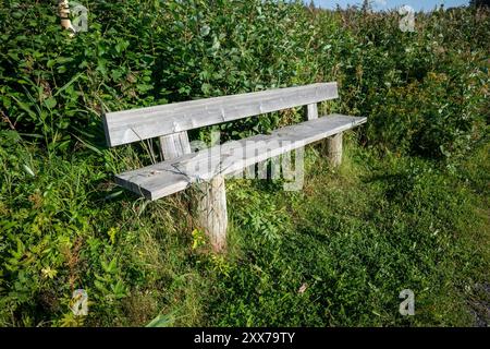 Leere Holzbank in einer sonnigen, üppigen natürlichen Umgebung, Kempele Finland Stockfoto