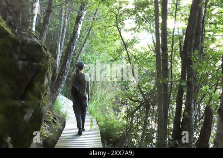 Frau, die auf Holzpfaden am See läuft. Frau wandert im Wald in der Nähe des Sees in Norwegen, Oslo. Stockfoto